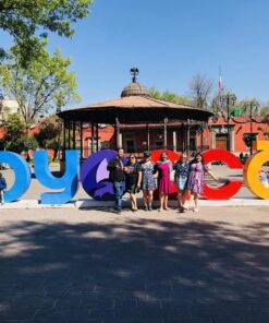 tour xochimilco y coyoacan cdmx