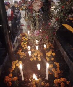 dia de muertos cdmx mexico