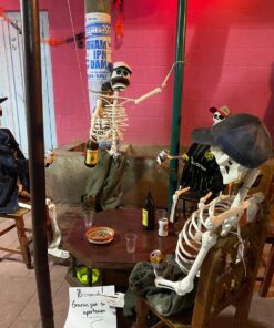 day of dead guided tour