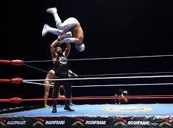 tour lucha libre ciudad de mexico