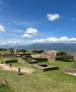 monte alban tours